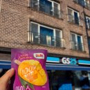 세븐일레븐 논산취암점 | [Dole 아이스망고바] GS25 편의점 생망고바 추천 최애 아이스크림 대용 건강 간식 추천 솔직 후기