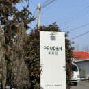 엄브로군산 - 군산시 월명로 274 | 군산 개정면 애견카페 아이랑 카페 푸르던 방문 후기/내돈내먹