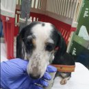 스포츠타운길 이미지