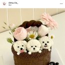 댕집 이미지