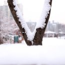 늘푸른공원4 이미지