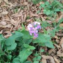 풀꽃농장 이미지