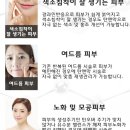 자연 앤 드림