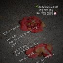 싱어게인 4 -2회 이미지