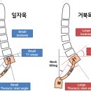 몸앤장한의원 송산새솔점 이미지