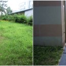 목포미항초등학교 이미지