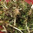 성만농장 이미지