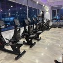 위너스타짐 이미지