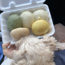 우리밀 만두찐빵 이미지