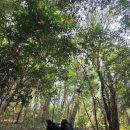 온평경로당 이미지