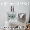 디플리뷰티 | 딥디크 좋아한다면 추천하는 디플리에 카루벤 니치 향수 후기