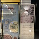 [야탑역 맛집] 야탑동 칼국수 고향엄마손생바지락칼국수 성남시청직영점