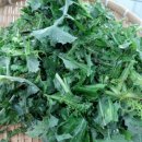 꽃차&약선차 이미지