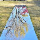 호암세월 | 늦가을 사색의 연장선, 호암미술관에서 찾은 고전과 현대의 &#39;조응(照應)&#39;