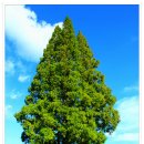 황남초등학교 이미지