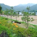 명호중학교 이미지