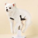 (주)발상코퍼레이션 이미지