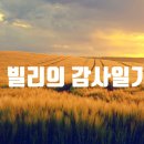 2024.11.8(金) 빌리의 감사일기 - 116회차