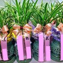 행복의아침 빌딩 이미지