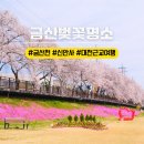 금산읍사무소 | 금산 가볼만한곳 대전 근교 벚꽃명소 1박 2일 신안사 금산천