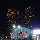 (주)사조그랜드리조트 | 12월 제주 당일치기 여행(정물오름동백, 호근동동백,숨도동백, 협재해수욕장, 협재고기부엌, 코코메아...