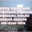 북항라움 이미지