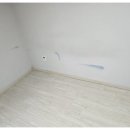클린센스 이미지
