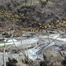 지리산봄날 이미지