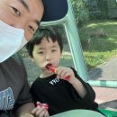 무계동 151-1 (무계먹거리타운 입구) | 장유 무계동 쟁반짜장 탕수육 맛집 중화요리 전문점 진시황 가야밀면 후기(아들과 무계동 데이트)