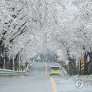 웬떡이야! 이미지