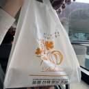 포항한사랑약국 | [울릉도 여행 1일차] 다섯번 토한 사람이 알려주는 울릉도 여행의 모든 꿀팁..ㅋ..