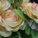 참결혼정보 이미지