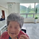 봉숭아물 물들이다 이미지