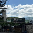 부일식당 | [정선 맛집] 정선 파크로쉬 근처 산채백반 부일식당 방문 후기 (내돈내산)
