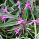 보광농장 이미지