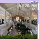 카페자연 | 기장카페추천 보몽드 부산 최대 규모 카페 자연 속 힐링 후기