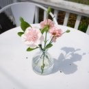 보령 나들이 2코스 | [보령 가볼만한곳] 개화예술공원 + 리리스카페 후기｜꽃·예술·카페 다 있는 힐링 코스