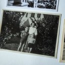 ‘Are the Bricks Evil?’ In a Village Built for Nazis, Darkness Lingers. 이미지