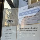 부천 무인 꽃집 추천 | 다양한 꽃다발과 감성 화분 가득한 미드나잇블룸 방문 후기