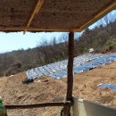 동열농장 이미지