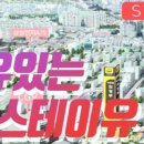 스테이유 이미지