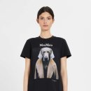 도그스타 이미지