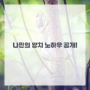 탄탄치과의원 네이버블로그