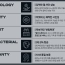레이노썬팅