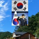 솔향이 진한 이미지