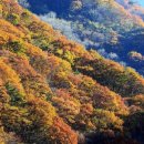 산의 모양과 장날