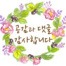 할마씨네토끼 이미지