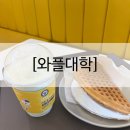 [공주|신관동] 와플대학 공주신관캠퍼스 -신관동 디저트 맛집