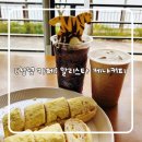 [창녕 카페] 알리 KENYA 스타커피(알리스타)/내돈내산 후기/