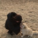 농업회사법인 주식회사 올바른 이미지